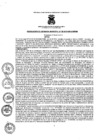 Vista preliminar de documento resoluciongm982019