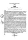 Vista preliminar de documento resoluciongm962019