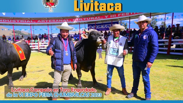 ganadores de la feria provincial chumbivilcas