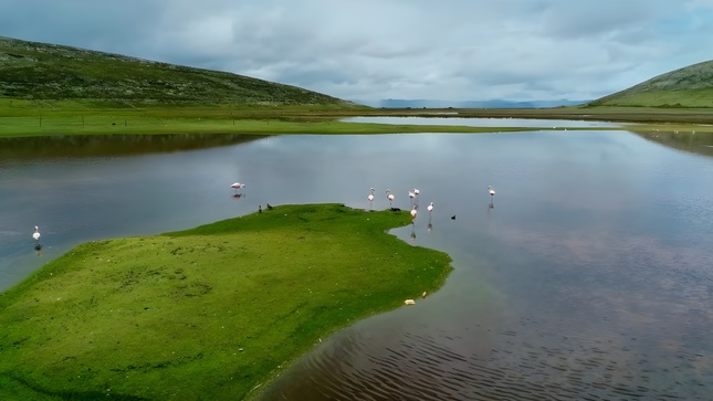 Día mundial del medio ambiente: amsac estrena documental sobre remediación en el Delta Upamayo