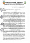 Vista preliminar de documento RESOLUCION DIRECTORAL N° 208-2023 - Conformación de la Comisión Evaluadora de Proceso de Nombramiento del Personal de Salud de la Red de Salud Condorcanqui