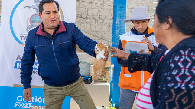 La Municipalidad de Tambillo y World Visión hace la entrega de animales Menores a pobladores