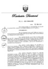 Vista preliminar de documento RD N° 243-2023