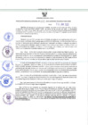 Vista preliminar de documento RES-485-2023-GRDS
