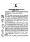 Vista preliminar de documento resoluciongm1332019