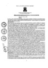 Vista preliminar de documento resoluciongm1292019