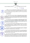 Vista preliminar de documento RES-487-2023-GRDS