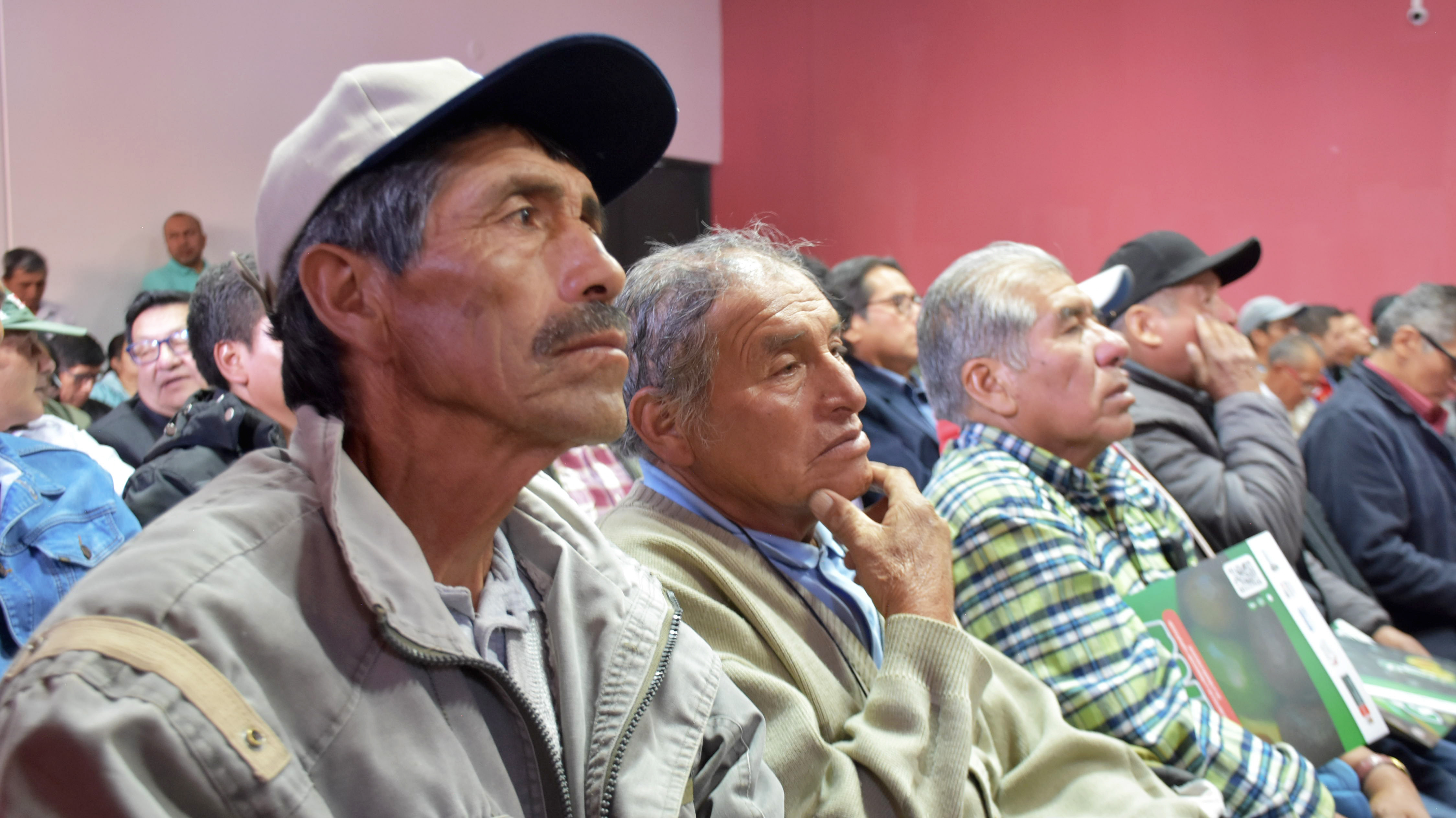 Fotografía