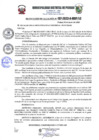 Vista preliminar de documento r197