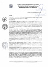 Vista preliminar de documento Resolución de Alcaldía 011-2020VNHKR
