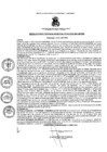 Vista preliminar de documento resoluciongm1492019