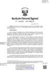 Vista preliminar de documento RDR-0447-2022-DRELM