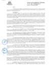 Vista preliminar de documento RGR.GRI N° 107
