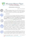 Vista preliminar de documento ORDENANZA