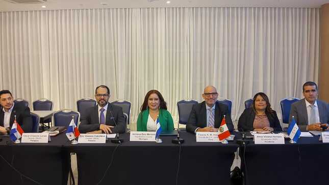 El Indecopi intercambia experiencias sobre derecho de autor en la industria audiovisual con pares de América Latina
