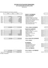 Vista preliminar de documento Estado de Situación Financiera al 31 diciembre 2019 y 2018