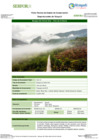 Vista preliminar de documento FTEC_Bosque_de_Colina_Alta_-_Velo_de_la_NoviauyXYQ