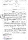 Vista preliminar de documento RD N°0052