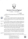 Vista preliminar de documento RDR-0515-2022-DRELM