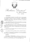 Vista preliminar de documento RDN-196-2017-CENFOTUR-DN