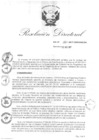 Vista preliminar de documento RDN-189-2017-CENFOTUR-DN
