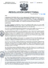 Vista preliminar de documento RD N°233-2023-HMA-DG