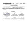 Vista preliminar de documento RESULTADOS DE REQUISITOS MINIMOS CAS N° 033-2023