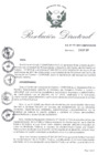 Vista preliminar de documento RDN-171-2017-CENFOTUR-DN