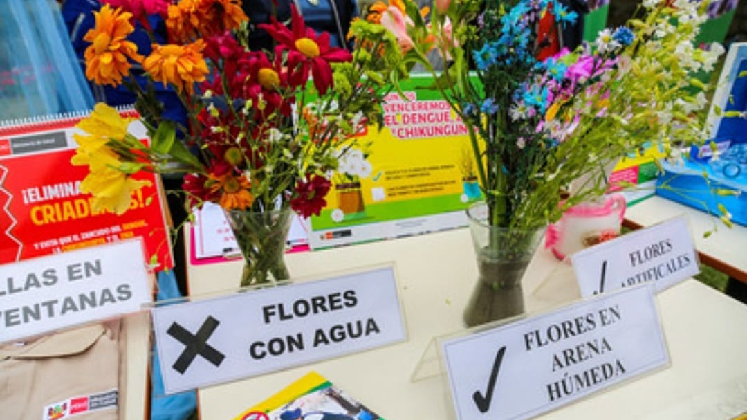 Día del Padre: floreros con arena húmeda evitará la proliferación del zancudo que transmite el dengue