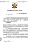 Vista preliminar de documento RD 145-2023