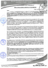 Vista preliminar de documento 215
