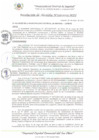Vista preliminar de documento RA_336_20223_MDI
