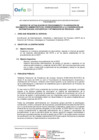 Vista preliminar de documento TDR 1545