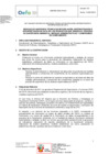 Vista preliminar de documento TDR 1547