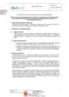 Vista preliminar de documento TDR 1548