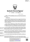 Vista preliminar de documento RDR-0903-2022-DRELM