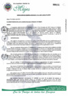 Vista preliminar de documento RESOLUCION-GERENCIA-032-2018-MDM