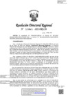 Vista preliminar de documento RDR-1061-2022-DRELM