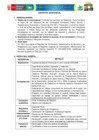 Vista preliminar de documento TDR 