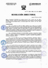 Vista preliminar de documento Resolucion Directorial N250-2023-DIRESA