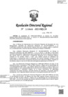 Vista preliminar de documento RDR-1068-2022-DRELM