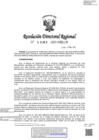 Vista preliminar de documento RDR-1181-2022-DRELM