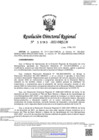Vista preliminar de documento RDR-1193-2022-DRELM