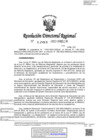 Vista preliminar de documento RDR-1203-2022-DRELM