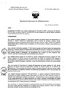 Vista preliminar de documento REA N° 085-OEA-INMP-2023