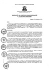 Vista preliminar de documento resolucionga195-2019