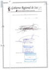 Vista preliminar de documento RESOLUCION JEFATURAL N°124 - 2020-GORE.ICA-PETACC