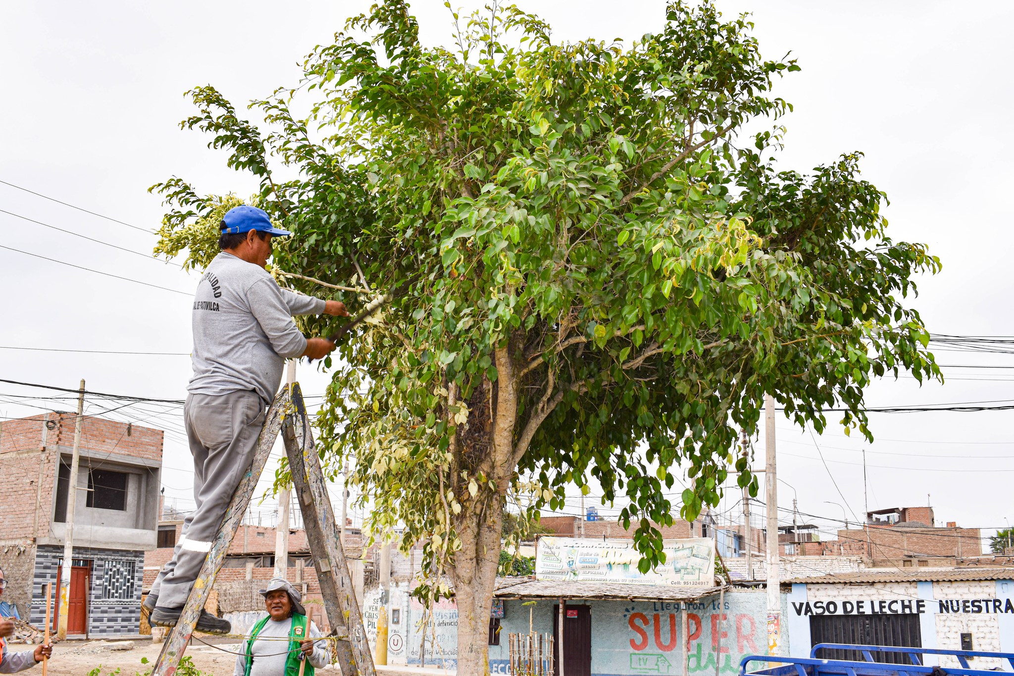 Municipalidad De Pativilca Realiza Mantenimiento De Parques Y Jardines Del Distrito