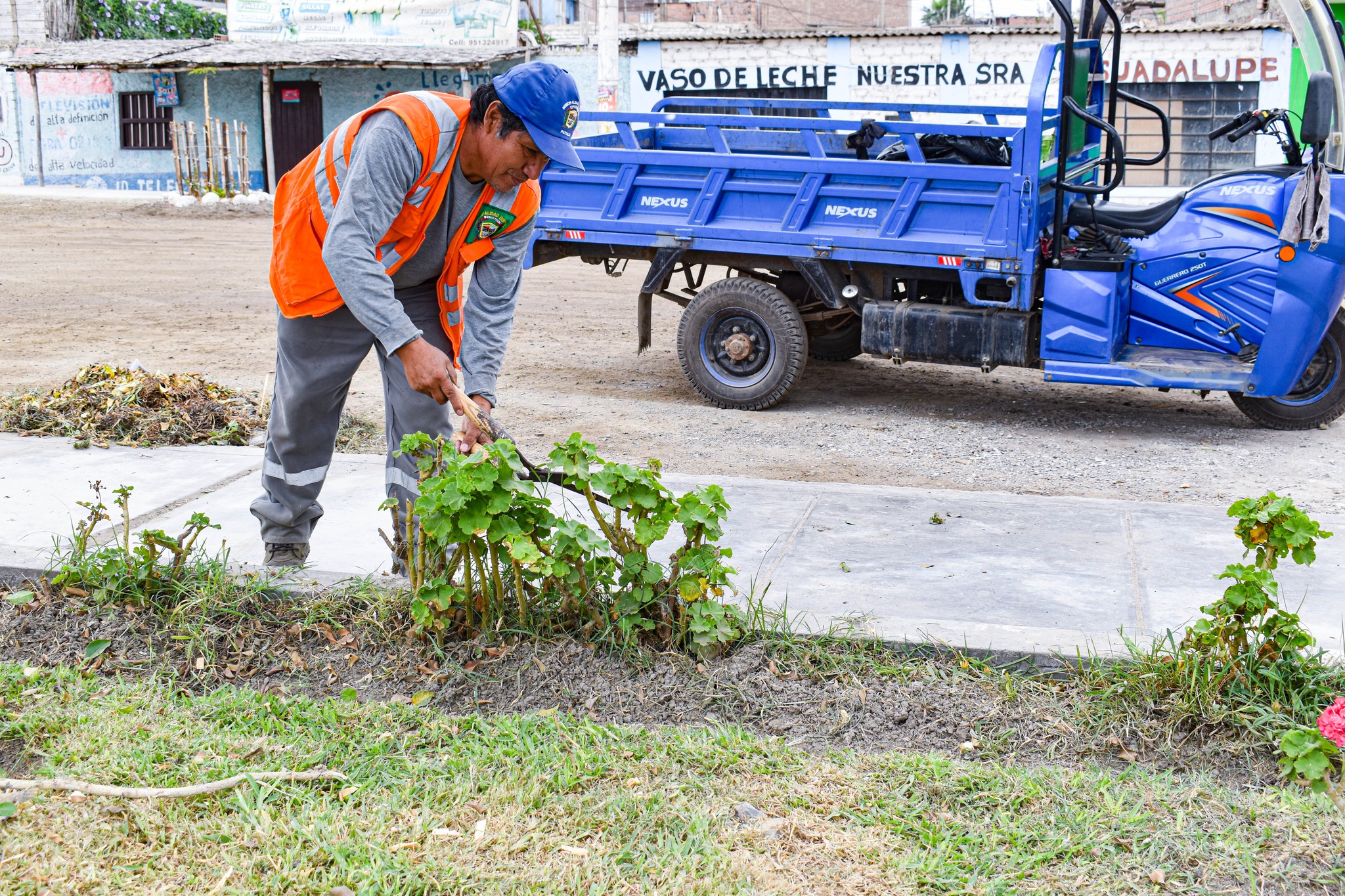 Municipalidad De Pativilca Realiza Mantenimiento De Parques Y Jardines Del Distrito