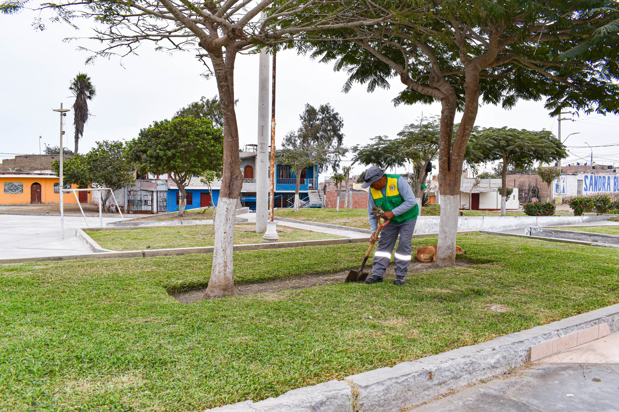 Municipalidad De Pativilca Realiza Mantenimiento De Parques Y Jardines Del Distrito